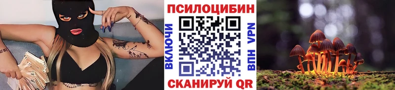 Купить закладки  Котельниково  Псилоцибиновые грибы ЛСД 